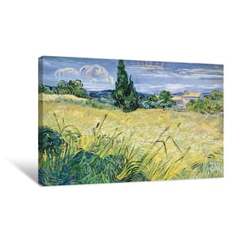 Image of Green Wheatfield Canvas Print