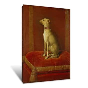 Image of Greyhound Canvas Print