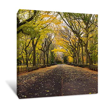 Image of Central Park Fall NYC 2 Canvas Print
