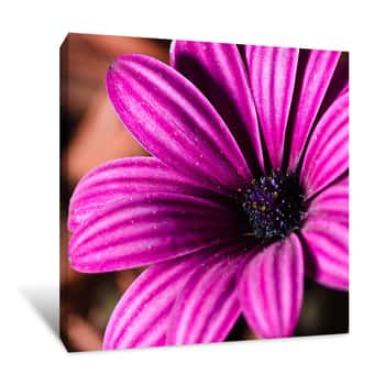 Image of The Center of Beauty Canvas Print