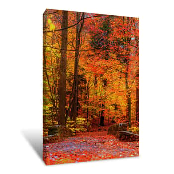 Image of An Autumn Stroll Canvas Print