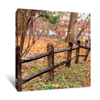 Image of Along the Fence Canvas Print
