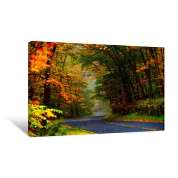 Image of Road Through The Forest Canvas Print