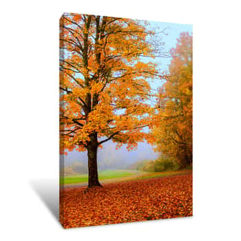 Image of Foggy Autumn Day Canvas Print