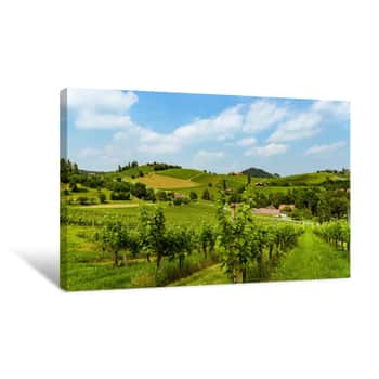 Image of Austria Vineyards Vine Street South Styria Travel Spot Canvas Print