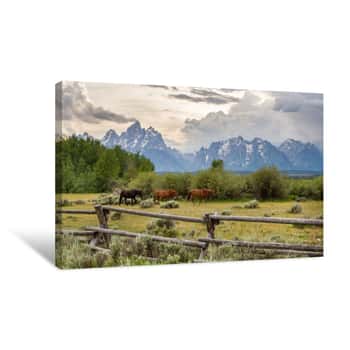 Image of Three Horses Walk In File In Front Of An Old Ranch Fence In The Foreground Of The Teton Mountain Range Canvas Print