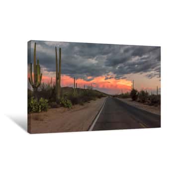Image of The Magical Landscape In Saguaro National Park, Panoramic Road At Sunset, Tucson, Arizona Canvas Print