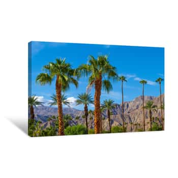 Image of Palm Trees With Mountain Range Background In La Quinta, California In The Coachella Valley, Canvas Print