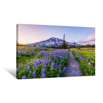 Image of Reflection Lake Trail-Summer, Mount Rainier Canvas Print