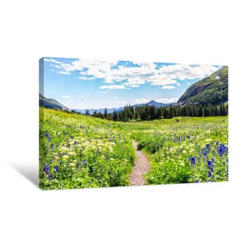 Image of Open Landscape View Of Green Wildflowers Meadow And Footpath Trail To Ice Lake Near Silverton, Colorado In August 2019 Summer Canvas Print