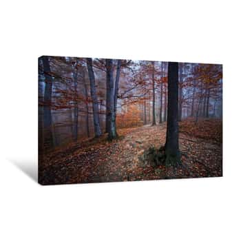 Image of Wondering Autumn Forest Canvas Print