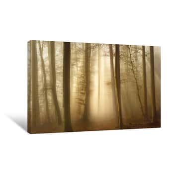 Image of Golden Trees Canvas Print