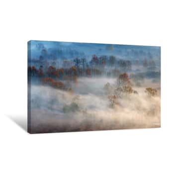 Image of Mist of Clouds Through Trees Canvas Print
