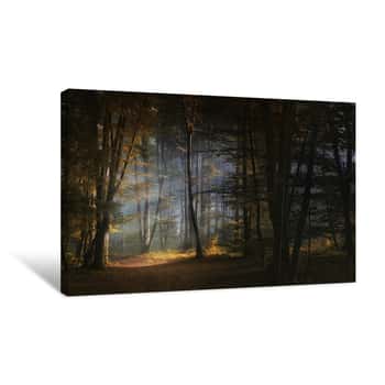 Image of Forest During Autumn Canvas Print