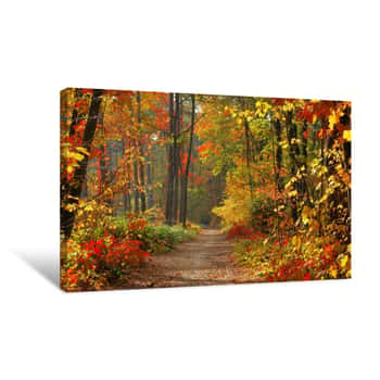 Image of Colors Of Fall Canvas Print