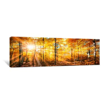 Image of Wald Panorama Im Goldenen Herbst Canvas Print