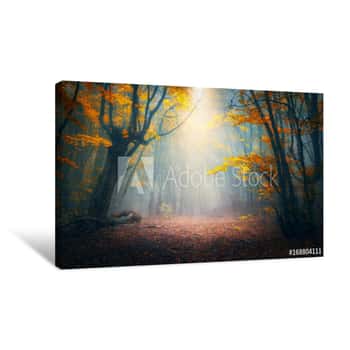 Image of Fairy Forest In Fog  Fall Woods  Enchanted Autumn Forest In Fog In The Morning  Old Tree  Landscape With Trees, Colorful Orange And Red Foliage And Blue Fog  Nature Background  Dark Foggy Forest Canvas Print