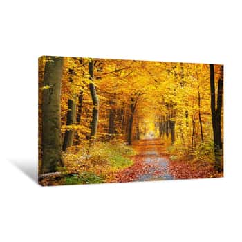 Image of Golden Canopy Above Path Canvas Print