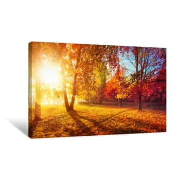 Image of Autumn Landscape  Fall Scene Trees And Leaves In Sunlight Rays Canvas Print