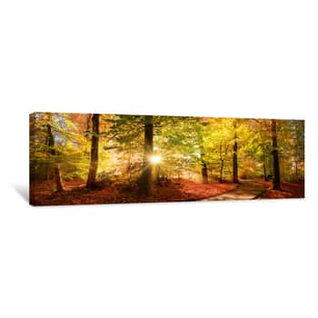 Image of Sunlit Path In A Park Before Sunset Canvas Print