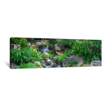 Image of The Panoramic View Of Small Waterfall Which Runs And Hitting Rocks With Lots Of Tripical Plants And Ferns In Brisbane Botanical Garden  Mt Coot-tha, Australia Canvas Print