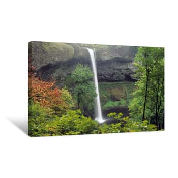 Image of Silver Falls, Waterfall, Oregon Canvas Print