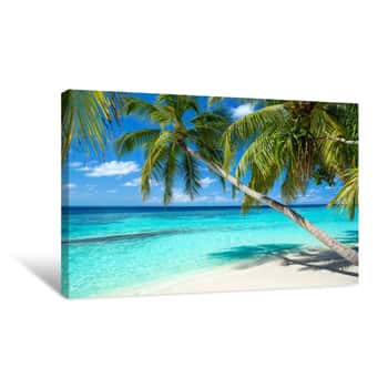 Image of Coco Palms On Tropical Paradise Beach With Turquoise Blue Water And Blue Sky Canvas Print