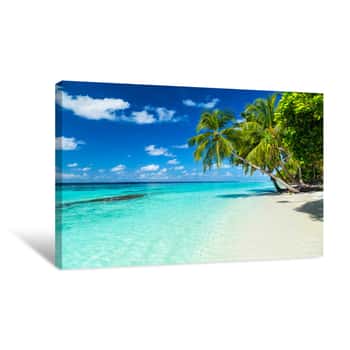 Image of Coco Palms On Tropical Paradise Beach With Blue Water And Blue Sky Canvas Print