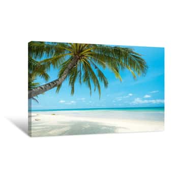 Image of Beautiful Coconut Palm Tree At The Tropical Beach , Thailand Canvas Print