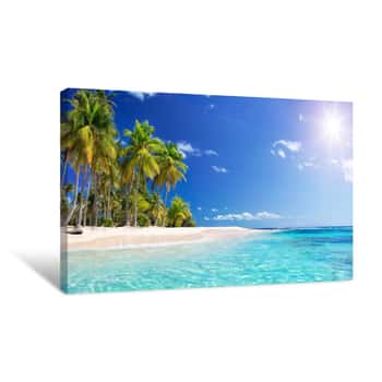Image of Palm Beach In Tropical Paradise - Guadalupe Island -  Caribbean Canvas Print