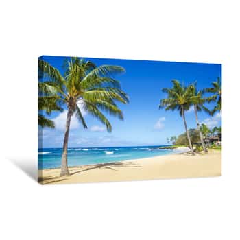 Image of Palm Trees On The Sandy Beach In Hawaii Canvas Print