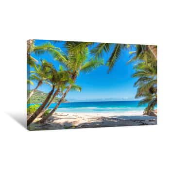 Image of Palm Trees On Tropical Beach Canvas Print