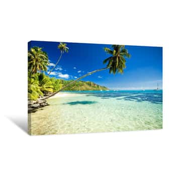 Image of Palm Tree Hanging Over Stunning Lagoon Canvas Print