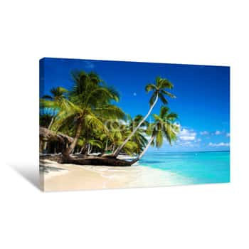 Image of Tropical Beach In Caribbean Sea, Saona Island, Dominican Republic Canvas Print