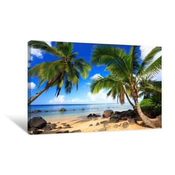 Image of Palm Trees In Kauai Hawaii In The Morning Canvas Print