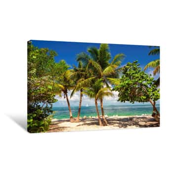 Image of Palm Trees On A Tropical Beach Key West, Caribbean Sea Canvas Print