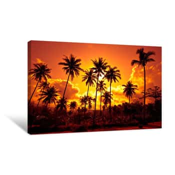 Image of Coconut Palms On Sand Beach In Tropic On Sunset Canvas Print