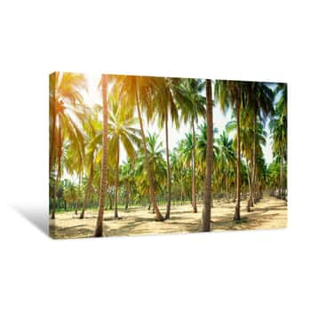 Image of Coconut Palm Trees On Sandy Beach Canvas Print