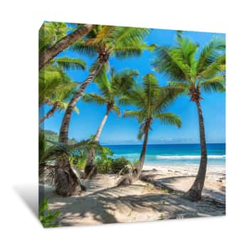 Image of Coconut Palm Trees On White Sandy Beach In Caribbean Sea, Canvas Print