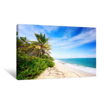 Image of Exotic Beach With Palm Trees In Caribbean  Cap Macre Beach, In Search Of Tranquility, Near Anse Michel Beach, Cap Chevalier, Martinique, Caribbean Canvas Print