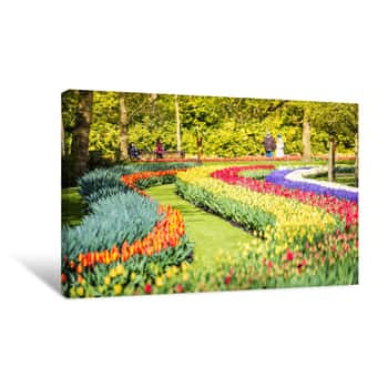 Image of Tulips At Keukenhof Gardens Canvas Print