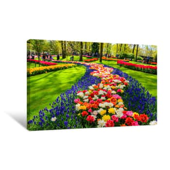 Image of Blooming Flowers In Keukenhof Park In Netherlands, Europe Canvas Print