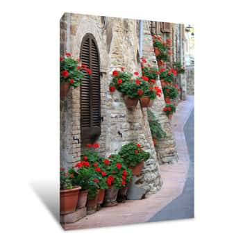 Image of Geranium Flowers In Streets Of Assisi, Umbria, Italy Canvas Print