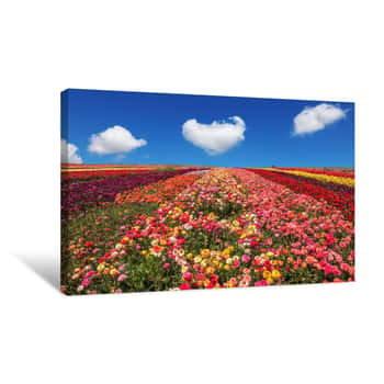 Image of Spring  Day Canvas Print