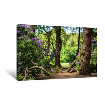 Image of The Woods Canvas Print