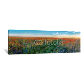 Image of Big Panorama Of Poppies And Bellsflowers Field With Path Canvas Print