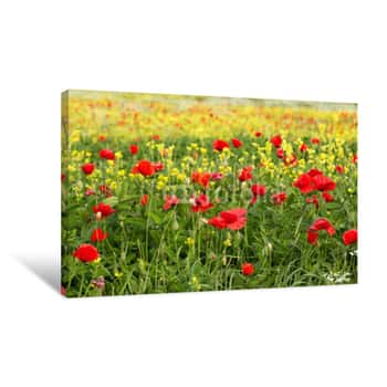 Image of Poppy Field Red And Yellow Canvas Print