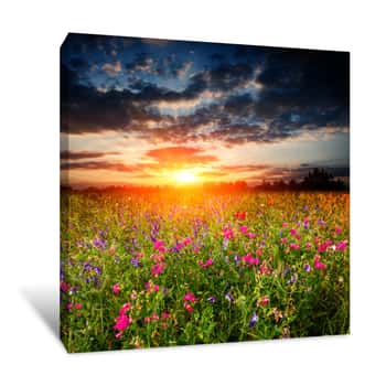 Image of Sunset Over Wild Flower Meadow Canvas Print