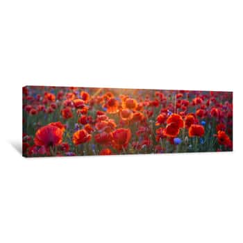 Image of Poppy Meadow In The Light Of The Setting Sun, Poppy And Cornflower Canvas Print