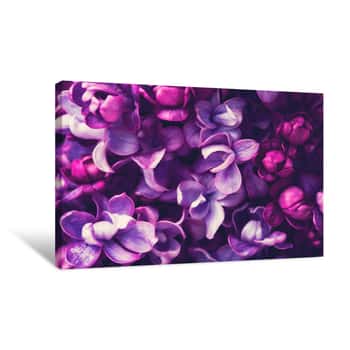 Image of Lilac Flowers Background Canvas Print